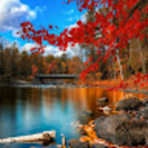 Meet your Posher, Jai